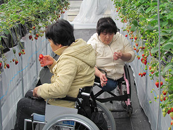 車椅子対応