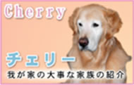 �`�F���[�̂��Љ�