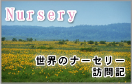���E�̃i�[�Z���[
