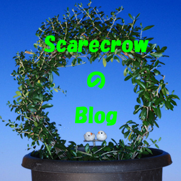 ScarecrowのBlog